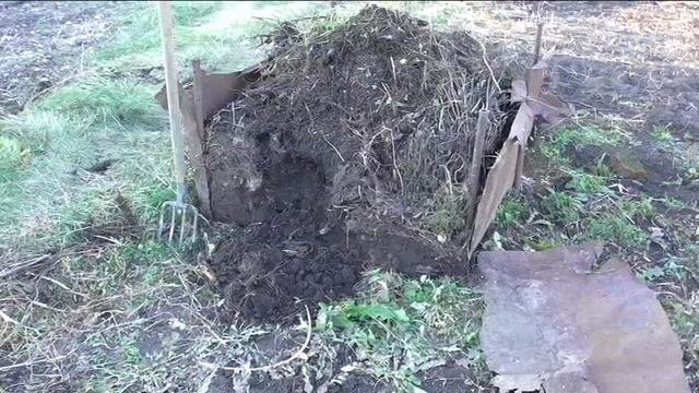 Компост на огороде