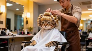 ИСТОРИЯ ПРО КОШЕЧКУ! МИЛАЯ КОШКА РЕШИЛА ПОЙТИ НА СТРИЖКУ И СТАТЬ КРАСАВИЦЕЙ