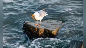 мой Мариуполь.mp4