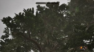 Just a rainy forest in Oblivion VI Remastered