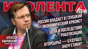 Россия впадает в глубокий экономический кризис?|Цена и последствия роботизации| Вторсырьё — будущее?