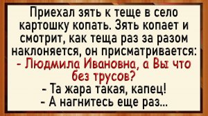 Как зять увидел у тещи! Сборник свежих анекдотов! Юмор!