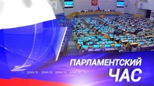 Развитие СПО, проект федерального бюджета, законы недели, господдержка НКО и сохранение истории