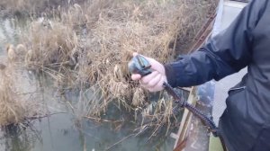 Короткая магнитная рыбалка не длинная но с бонусом.