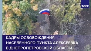 Кадры освобождения населенного пункта Алексеевка в Днепропетровской области