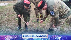 Память в каждом саженце: донецкие казаки и кадеты заложили Аллею казачьей славы