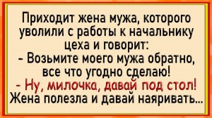 Как жена начальника уговаривала! Сборник свежих анекдотов! Юмор!