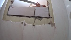 Газосиликат в подарок .