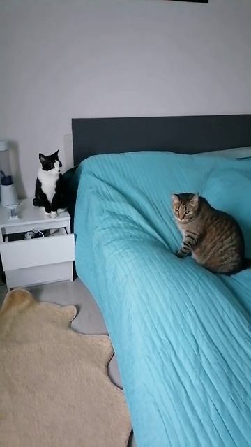 Бабушку слушать будем ?  - нетЬ...