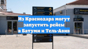 Из Краснодара могут запустить рейсы в Батуми и Тель-Авив