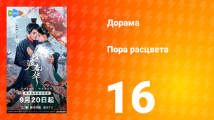 Пора расцвета 16 серия