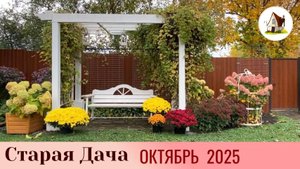 Старая Дача в октябре 2025.