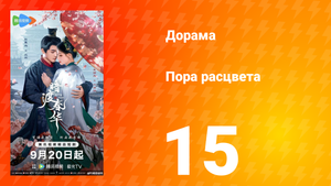 Пора расцвета 15 серия