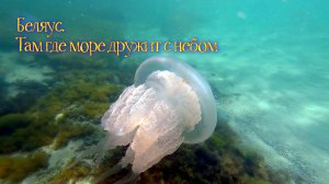 Беляус. Там где море дружит с небом