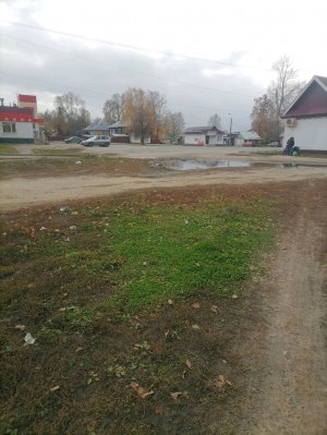 Сегодня среда и я снова не прошла через рынок