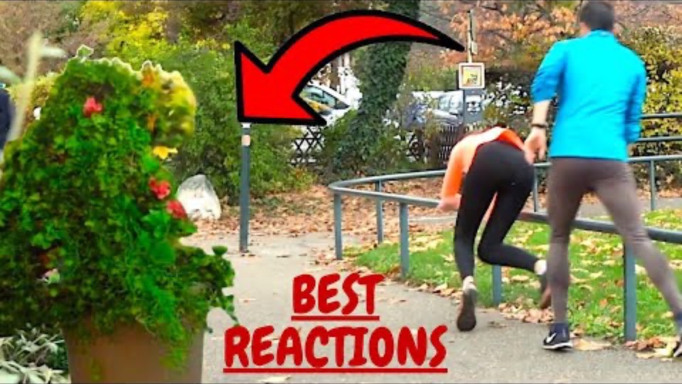 These Reactions you will watch again and again. Bushman Prank смотреть онлайн