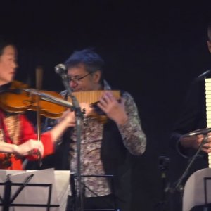 Фрагменты концертных выступления Ансамбля "ФЫНЯФ" / Солист Владимир Тирон