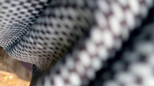 VID_20251015_101634.mp4