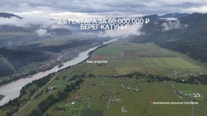 Алтай. Чемальский район (2,5 га земельного участка на берегу Катуни!)