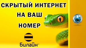 Cкрытый Безлимит от Билайна на Ваш номер за 0 рублей в месяц.vs