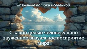 Зауженный спектр визуального ряда