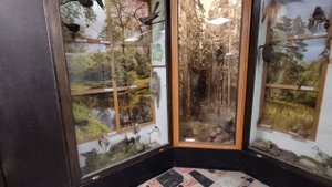 Национальный исторический музей Республики Беларусь