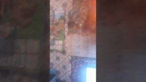 МОЙ  ПЕТУШОК  ГОВОРИТ ДОБРОЕ УТРО.