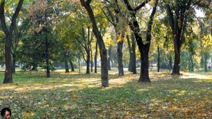 Следы в коридоре появляются каждую ночь. Страшные. Мистические. Творческие истории. Хоррор