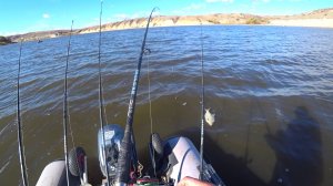 лещ на Дону с лодки на пучок червей его поиски по свалам и ямам #лещ #рыбалка #дон #фидер #донка