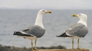 Приезжайте в Магадан!