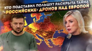 Провокация сорвана: Как МИД России помешал удару украинских БПЛА по хабам НАТО