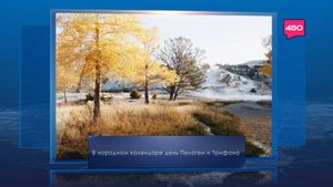 День Пелагеи и Трифона. Календарь Губернии от 21 октября