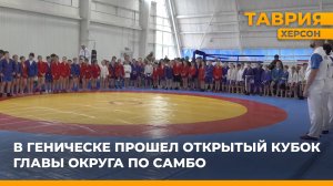 В Геническе прошел открытый Кубок главы округа по самбо