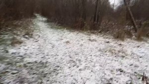 Покров день, снег показал