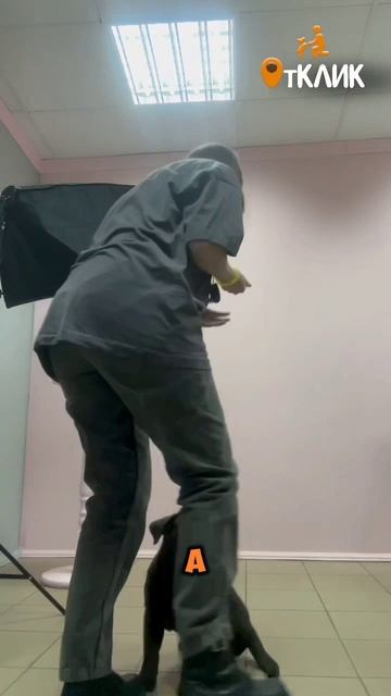 Младший флорист