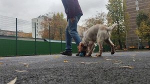 Тренируем быстрый подбор предметов.mp4