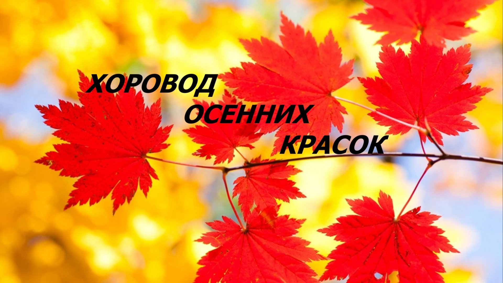 Лоскутные кухонные наборы.Пэчворк в осенних тонах.(октябрь 2025г) смотреть онлайн