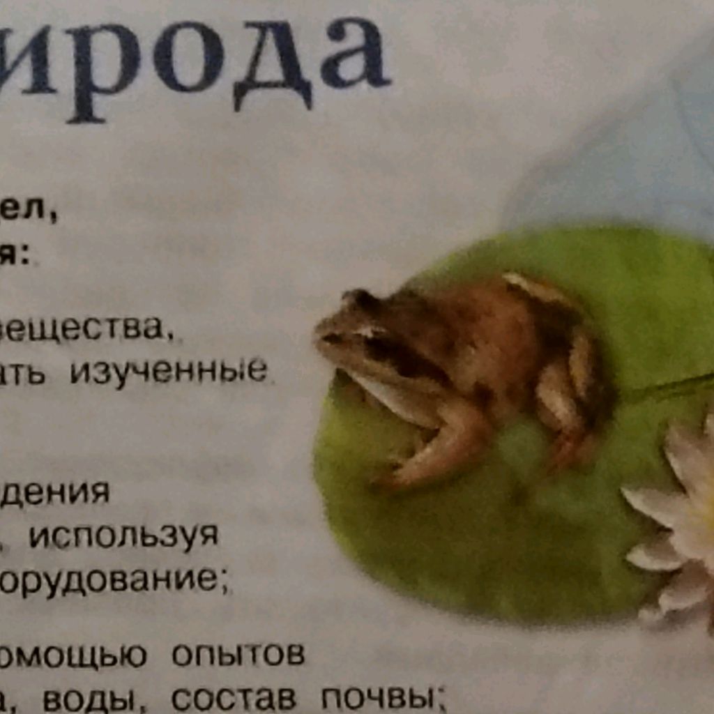 Эээээ... смотреть онлайн