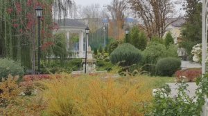 Краски осени.