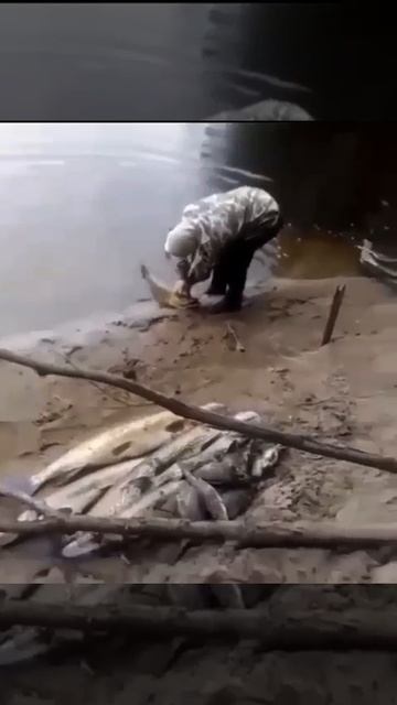 бабушки они такие бабушки (с)