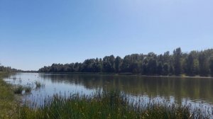 Шаманский бубен. Река жизни. Для отдыха, снятия стресса, транса, медитации