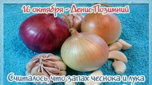 Приметы на 16 октября. День Дениса Позимнего. Ждем зиму