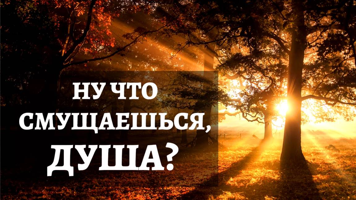 Ну что смущаешься душа (христианская песня)