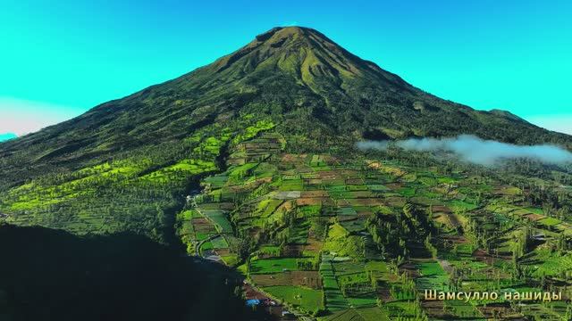 #Коран#АльАнам#СамыеКрасивыеМеста#Relaxation##Islam#Quran#AlAnam#Minshawiy #4кВидео#29часть#