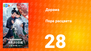 Пора расцвета 28 серия