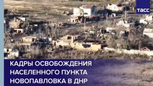 Кадры освобождения населенного пункта Новопавловка в ДНР