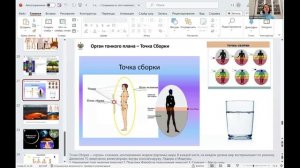 Точка сборки (из лекции 1 курса)