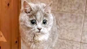 Осень наступила