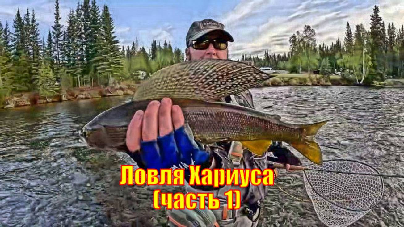 Ловля Аляскинского Хариуса Нахлыстом (часть 1)