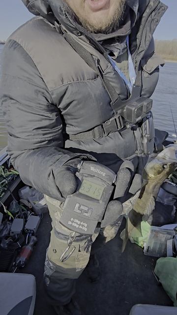 Как думаете правильно взвешали? смотреть онлайн